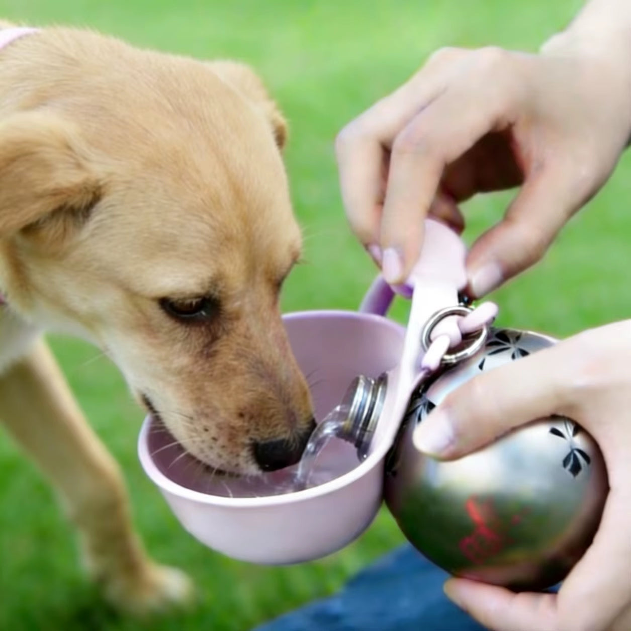 Portable Stainless Steel Leak-Proof Outdoor Travel Folding Silicone Bowl Drinker for Cats Dogs Wholesale Pet Water Bottle